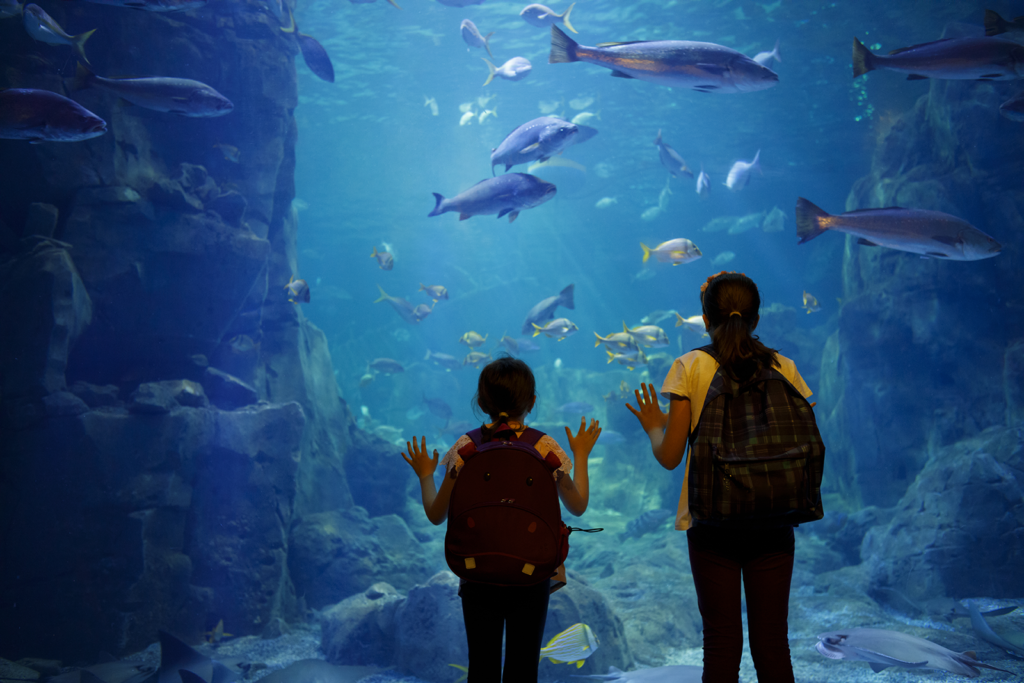 Two young girls in yellow t-shirts and backpacks standing in front of a large glass aquarium exhibit