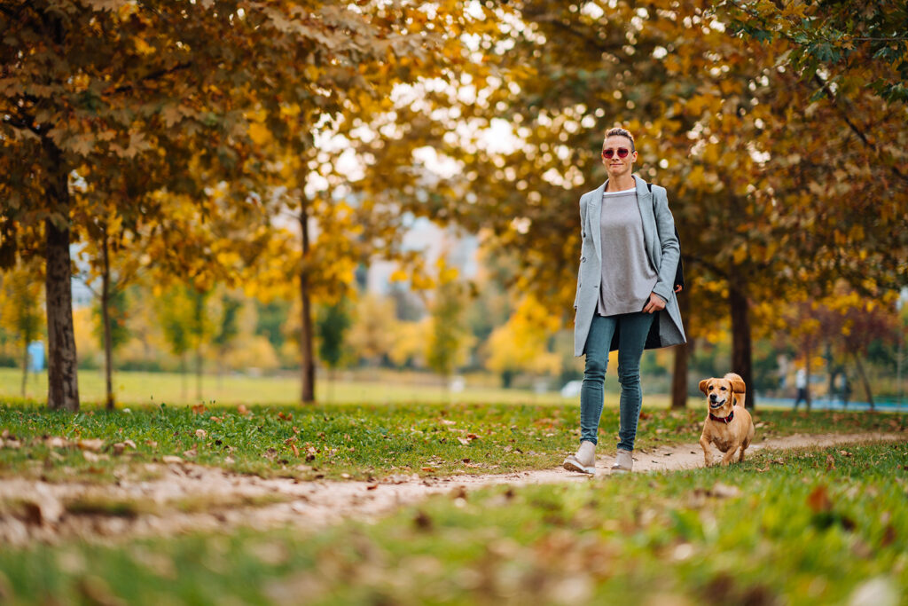 Woman walking a dog in a park in the autumn
